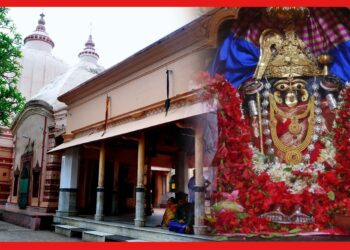 Ma Bargabhima Temple: ভক্তদের কথা শোনেন মা বর্গভীমা, ভোগে থাকে শোল মাছ! অলৌকিক রহস্যে মোড়া বাংলার এই মন্দির