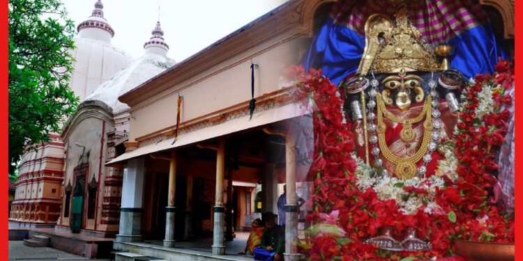 Ma Bargabhima Temple: ভক্তদের কথা শোনেন মা বর্গভীমা, ভোগে থাকে শোল মাছ! অলৌকিক রহস্যে মোড়া বাংলার এই মন্দির