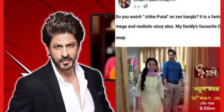 Shahrukh Khan: বিরাট সাফল্য! বাংলা সিরিয়াল দেখেন স্বয়ং শাহরুখ খান, যা দেখে তোলপাড় নেটপাড়া