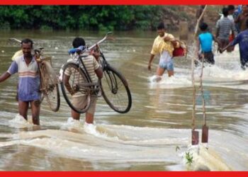 রাস্তায় কুমির-সিংহ, আবহাওয়ার ভয়ঙ্কর খেলা ভারতে! বর্ষার দাপটে বারংবার বন্যা, কতটা রিস্কে বাংলা?