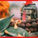 শ্রাবণ মাসে বৃহস্পতিবারে কোন নিয়ম মানবেন? বিপদ কাটবেই