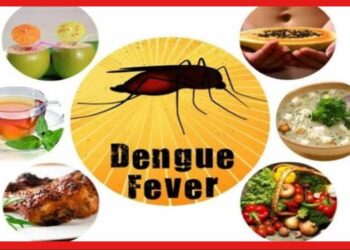 Dengue foods diet: ডেঙ্গি থেকে বাঁচতে কোন খাবার খাবেন? তালিকাটা দেখুন