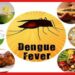 Dengue foods diet: ডেঙ্গি থেকে বাঁচতে কোন খাবার খাবেন? তালিকাটা দেখুন