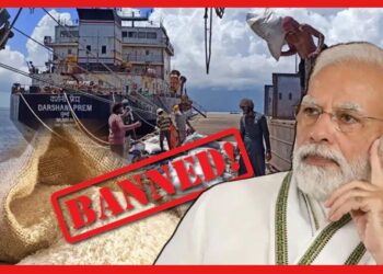 Rice Export Ban: ভারতের একটা সিদ্ধান্তে গোটা বিশ্বজুড়ে হাহাকার, টাকা দিয়েও মিলবে না চাল