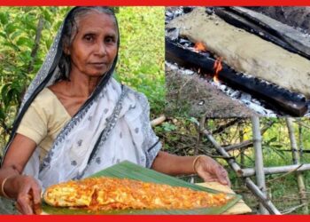 ৮৪ বছরের ঠাকুমা, কাঁপাচ্ছেন ইউটিউব! হাতের জাদুতে আয় লক্ষ লক্ষ টাকা