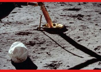 চাঁদের মাটিতে মানুষের মল! লুকিয়ে কোন রহস্য?