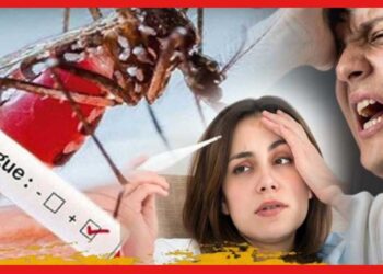 DENGUE SYMPTOMS: ডেঙ্গি উপসর্গ মারাত্মক! হেমারজিক নয় তো ? সেরে উঠলেও ভোগাবে ব্রেকবোন