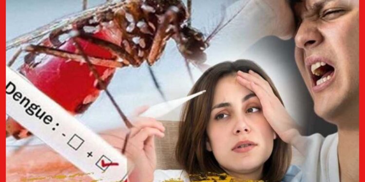 DENGUE SYMPTOMS: ডেঙ্গি উপসর্গ মারাত্মক! হেমারজিক নয় তো ? সেরে উঠলেও ভোগাবে ব্রেকবোন