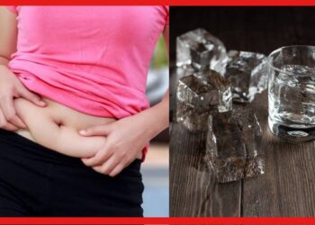 Weight Loss Tricks: এবার আর চিন্তা নেই, রোগা হতে পারবেন শুধু বরফ ঘষেই! এখনই দেখে নিন পদ্ধতি