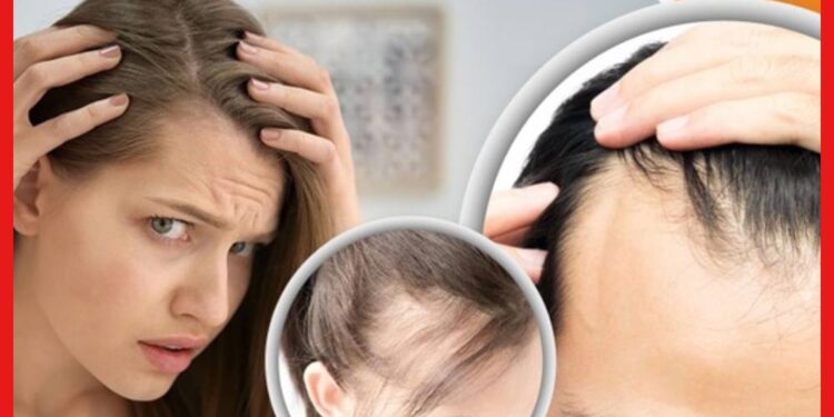 Leaves For Hair: অল্প বয়সেই মাথার সামনে চুল কমছে? এই ৩ পাতার গুণেই গজাবে নতুন চুল,বন্ধ হবে হেয়ার ফলও