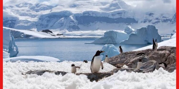 Antarctica: ভয়ঙ্কর সুন্দর আন্টার্কটিকা, আক্রমণাত্মক প্রাণীদের আস্তানা! ঝরছে রক্তের ঝর্ণা