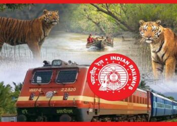 পর্যটকদের জন্য দারুণ সুখবর, এবার কলকাতা থেকে এক ট্রেনে পৌঁছে যাওয়া যাবে সুন্দরবন