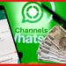 WhatsApp: হোয়াটস অ্যাপ থেকে টাকা কামানোর সুযোগ! কীভাবে খুলবেন Whatsapp চ্যানেল ?