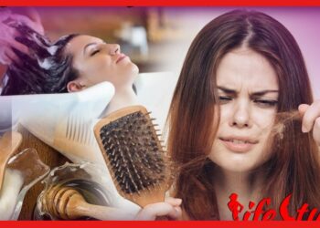 Split Ends: চুলের ডগা ফেটে যাচ্ছে? পার্লারে গিয়েও মুক্তি পাচ্ছেন না! ঘরোয়া উপায়ে করুন সমাধান