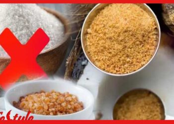 Coconut Sugar: চিনি খাওয়া ছাড়তে পারছেন না? শরীরে ঢুকছে বিষ! বিকল্প হিসেবে খান কোকোনাট সুগার