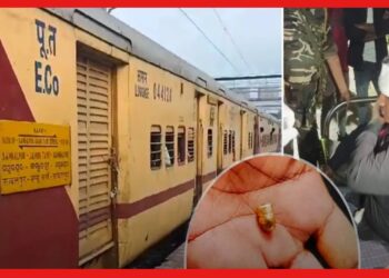 জম্মু তাওয়াই এক্সপ্রেসে ভয়ঙ্কর ডাকাতি! ট্রেনে এই ৩ ডাকাতির গল্প জানলে শিউরে উঠবেন