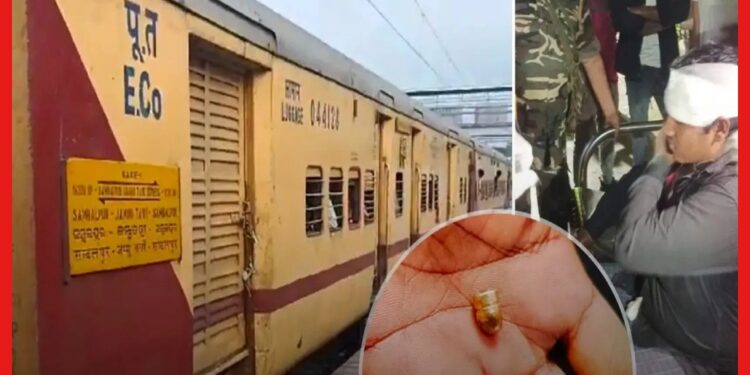 জম্মু তাওয়াই এক্সপ্রেসে ভয়ঙ্কর ডাকাতি! ট্রেনে এই ৩ ডাকাতির গল্প জানলে শিউরে উঠবেন
