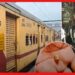 জম্মু তাওয়াই এক্সপ্রেসে ভয়ঙ্কর ডাকাতি! ট্রেনে এই ৩ ডাকাতির গল্প জানলে শিউরে উঠবেন