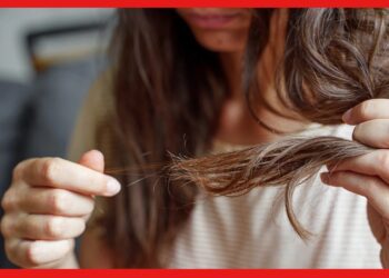 Hair Loss Home Remedies: চুল পড়ার দিন শেষ, তেলের সঙ্গে মেশান জাস্ট একটা জিনিস! কাজ করবে ম্যাজিকের মতো