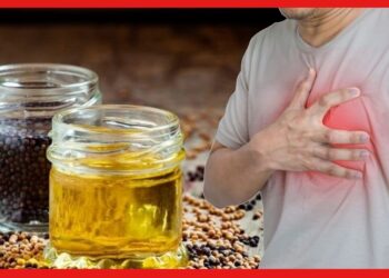 Mustard Oil: রোজ খাচ্ছেন সরষের তেল, শরীরে ঢুকছে মারাত্মক বিষ! কীভাবে বুঝবেন কোনটা ভেজাল?