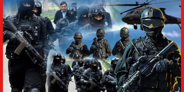 National Security Guard: ব্ল্যাক ক্যাটসের নামে জঙ্গিদের বুক কাঁপে, ট্রেনিংয়ে আতঙ্ক, ভয়ানক স্টাইল