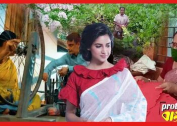 পুজোয় ভাইরাল কচুরিপানার শাড়ি, কত দাম ? এই শাড়ি পরলে অন্যরা তাকিয়ে থাকবে আপনার দিকে