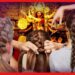 পুজোয় নজর কাড়তে এই ভাবে চুল বাঁধুন, ভিড়ে ঘামে ভিজে নাজেহাল হবেন না