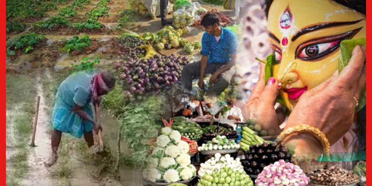 Vegetable Price: বৃষ্টিতে নষ্ট ফসল! মধ্যবিত্তের কপালে ভাঁজ, পুজোর মুখে সবজির দাম বৃদ্ধির সম্ভাবনা
