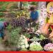 Vegetable Price: বৃষ্টিতে নষ্ট ফসল! মধ্যবিত্তের কপালে ভাঁজ, পুজোর মুখে সবজির দাম বৃদ্ধির সম্ভাবনা
