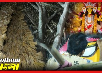 খুঁজে পাবেন নিজেরই প্রতিফলন, বাদামতলা আষাঢ় সংঘের এবারের থিম ‘প্রতিরূপ’
