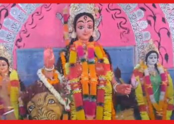 Durga Puja History: দশমীর পর মায়ের বোধন শুরু! বাংলার এই জায়গায় দুর্গা পুজোর আমেজ