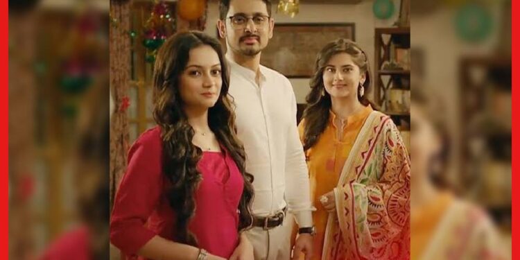আসছে দুর্ধর্ষ এপিসোড, নির্যাতনের শিকার গিনি, নীলের সামনে ময়ূরীর পর্দা ফাঁস করবে মেঘ