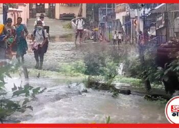তিস্তার জেরে বাংলা প্লাবনের আশঙ্কা! ৭ জেলা রিস্কের মুখে, সতর্ক হন