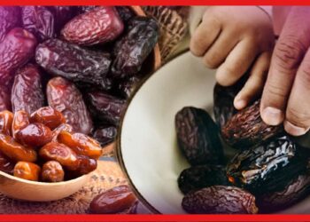 Nutrition: রোজ রাতে মাত্র দুটো করে খেজুর খান, এর গুনাগুন জানলে চমকে যাবেন!