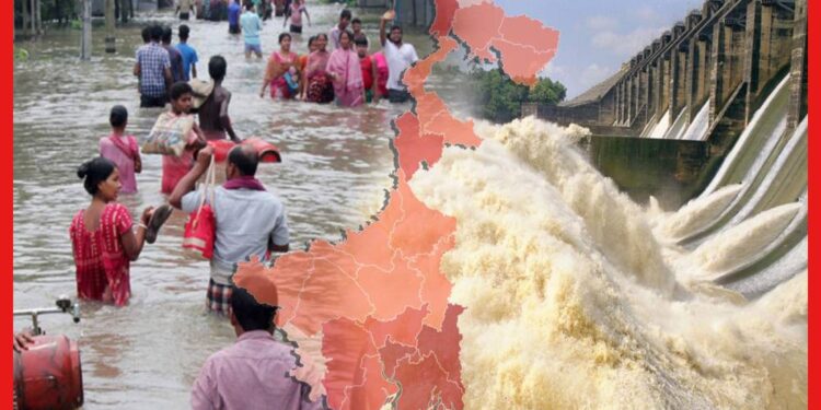 Weather Update: বন্যার কবলে বাংলা! বাণভাসির মুখে কোন ৭ জেলা ? ডিভিসির জলে রিস্ক বাড়ছে
