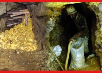 Gold Mines: অনেকেই জানেন না, প্রতিদিন ভারতের খনি থেকে কত সোনা তোলা হয় জানেন? গর্বে বুক ভরে যাবে