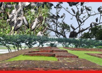 বাংলাদেশের মাটিতে এতো দামী সম্পদ, বগুড়ার স্বর্গরাজ্যে কীসের পাহারা ? সহজে ঢোকা কঠিন