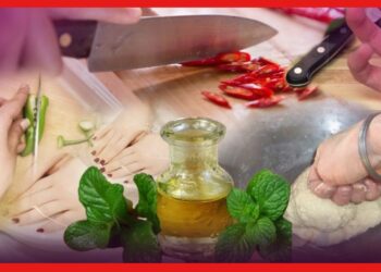 Green Chilli: লঙ্কা কাটার পর ভীষণ হাত জ্বালা করে? এই উপায়ে মুক্তি পান হাত জ্বালা থেকে