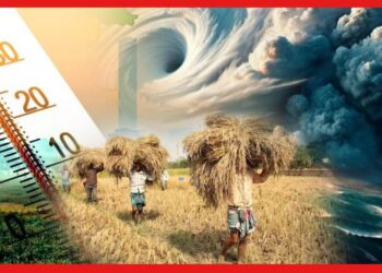 Weather Forecast: আবহাওয়ার খামখেয়ালীপনায় গায়েব শীত! নিম্নচাপের দোটানায় কপালে চিন্তার ভাঁজ ধানচাষিদের, জানুন আপডেট