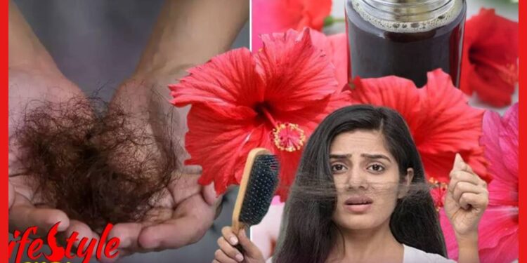 জবা ফুলের এই বিশেষ তেল দিয়েই চুল পড়া বন্ধ হবে! কীভাবে বানাবেন ? দেখুন সহজ পদ্ধতি