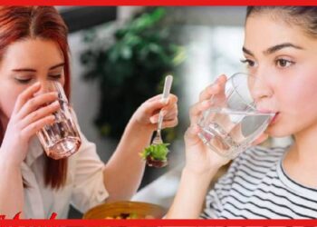 Rules for Drinking Water: জল দাঁড়িয়ে খাবেন নাকি বসে? জল পান করা নিয়ে বিভিন্ন কথা জানাচ্ছেন চিকিৎসকেরা
