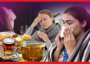 শীতকাল মানেই বুকে কফ জমে থাকার অস্বস্তি, কিভাবে দূর করবেন ? রইল ঘরোয়া উপায়