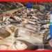 Formalin in Fish: বরফ নয়, মেশানো হচ্ছে ফরমালিন! ক্ষতি থেকে বাঁচতে মাছ ধোবেন কিভাবে?