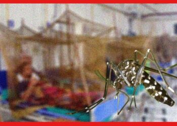 West Bengal Dengue Cases: রাজ্যে ফের ডেঙ্গি উদ্বেগ, পাল্লা দিয়ে বাড়ছে আক্রান্তের সংখ্যা