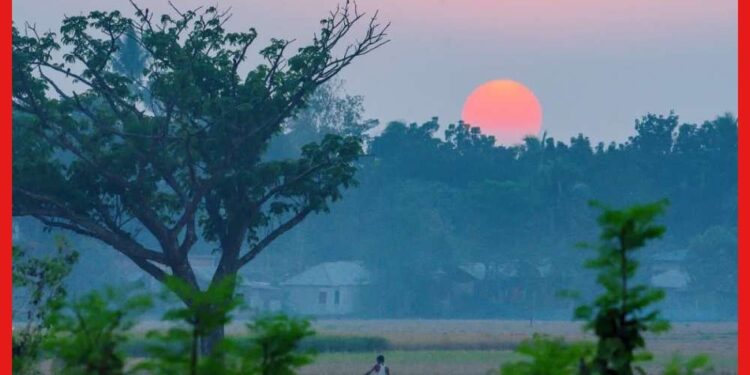 Weather Report Today: আজও কি বৃষ্টিতে ভিজবে জেলাগুলি? বঙ্গে জাঁকিয়ে শীত কবে থেকে জানুন