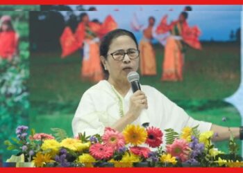 Mamata Banerjee: জলপাইগুড়ির বন্ধ ৬টি চা বাগান অধিগ্রহণ করবে রাজ্য, বড় ঘোষণা মুখ্যমন্ত্রীর
