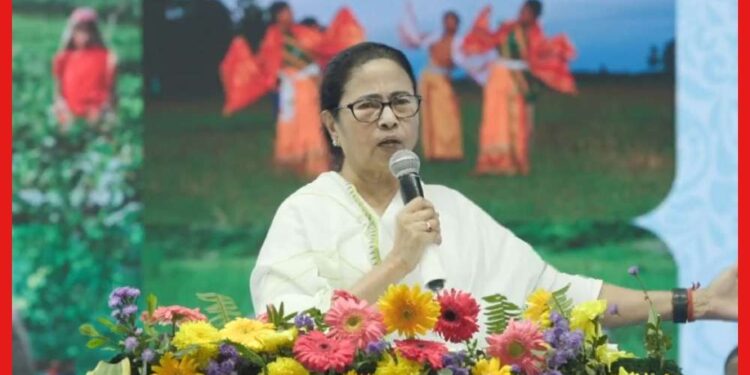 Mamata Banerjee: জলপাইগুড়ির বন্ধ ৬টি চা বাগান অধিগ্রহণ করবে রাজ্য, বড় ঘোষণা মুখ্যমন্ত্রীর