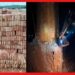 Brick Field Chimney Collapse: বসিরহাটে কাজচলাকালীন ভেঙে পড়ল ইটভাটার চিমনি, মৃত ৩, আহত একাধিক