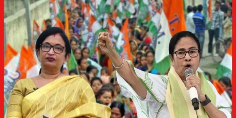 2024 Loksabha Election: বছর ঘুরলেই লোকসভা নির্বাচন, মহিলা ভোট’কে টার্গেট করতে ময়দানে নামছে তৃণমূল কংগ্রেস
