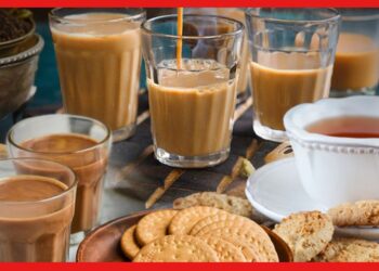 History of Marie Biscuits: বাঙালির চায়ের সঙ্গী মারিয়া থেকে মারি বিস্কুট হল কেন? জানুন মজার কাহিনী